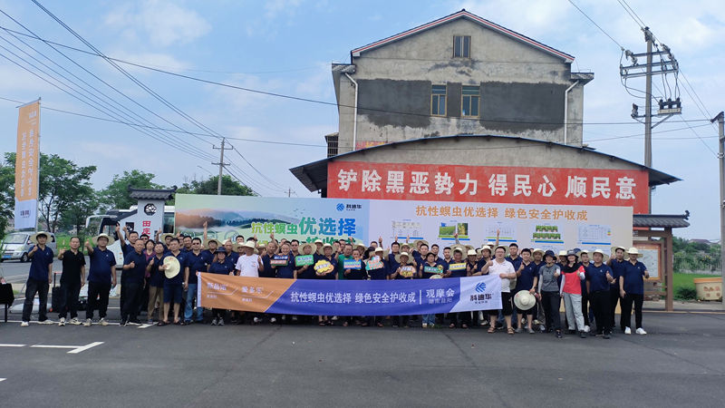 湖南金惠利舉辦二化螟防治現(xiàn)場觀摩會 推廣高效植保方案